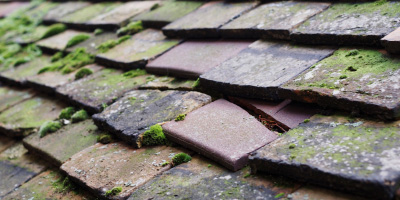 Magor roof repair costs